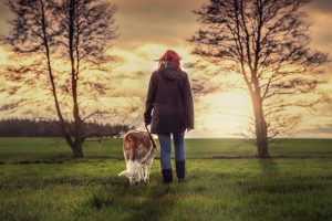 psychiatric service dog intervention tasks