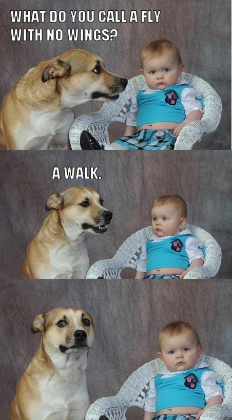 20 Of The Best Or Worst Funny And Clean Dad Jokes For Father’s Day Anything Pawsable